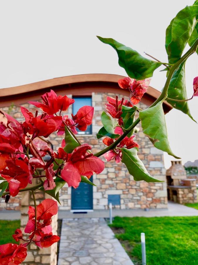 Villa Luxury Rhodes Verano 6 Guests Private Pool Lardos *